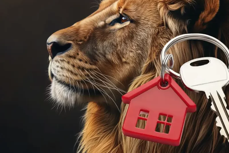 Como declarar imóveis no Imposto de Renda? Reduzir o ganho de capital na venda?